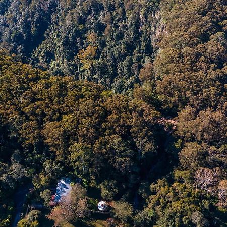 Purling Brook Falls Gwongorella Hotell Springbrook Eksteriør bilde