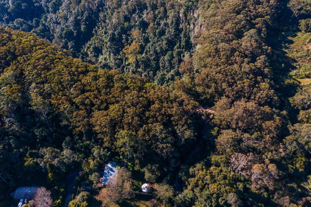 Purling Brook Falls Gwongorella Hotell Springbrook Eksteriør bilde