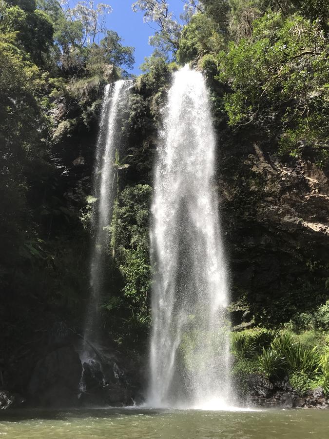 Purling Brook Falls Gwongorella Hotell Springbrook Eksteriør bilde