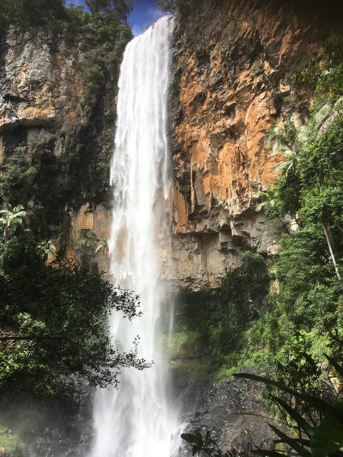 Purling Brook Falls Gwongorella Hotell Springbrook Eksteriør bilde