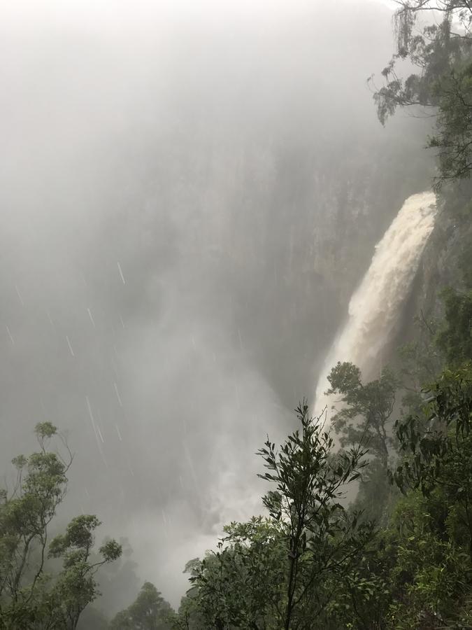 Purling Brook Falls Gwongorella Hotell Springbrook Eksteriør bilde